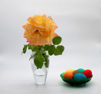 D85_0821 - Rose and Easter Eggs