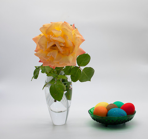 D85_0821 - Rose and Easter Eggs