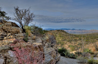 Saguaro National Park _D3X9393_4_5_tonemapped