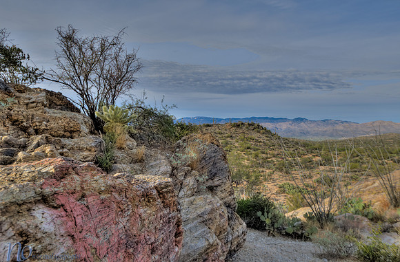 Saguaro National Park _D3X9393_4_5_tonemapped