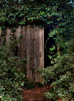 Wood Utility Shed _D3X4867_69_70_71-B
