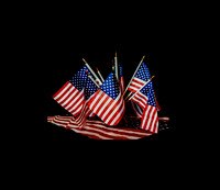US Flags