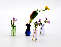 D85_0826 - Tiny flowers in tiny vases