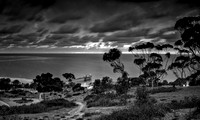 Black and White of the Scripps Pier at Sunset