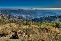 Palomar Mountain - _D2X44507_08_09_10_tonemapped