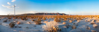 Ocotillo Windmills Panorama
