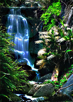 San Diego  Botanic Garden Waterfall