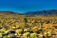 _D2X0001_2_3_4_tonemapped