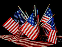 D85_0644_45_46_47_48_49_50_fused - American Flags