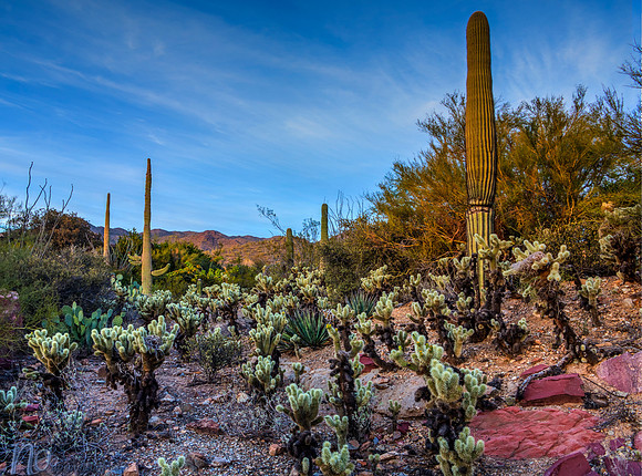 IMG_0414_5_6_tonemapped