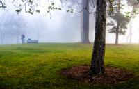 DSCN0212