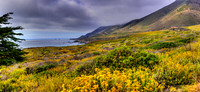 Big Sur _D3X12270 Panorama