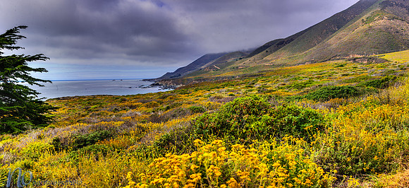 Big Sur _D3X12270 Panorama