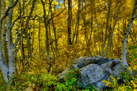 _D2X35251_2_3_4_5_tonemapped