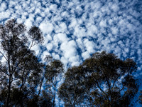 UCSD Sky IMG_0465
