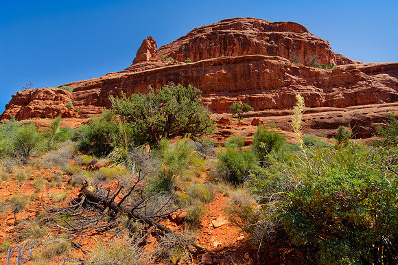 Bell Rock _D2X30218_19_20_21_22_tonemapped-bellrock