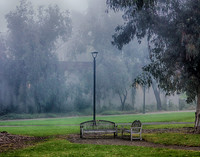 Bench in the Fog IMG_0495