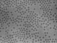 CryoElectron micrograph Papilloma Virus - 9982
